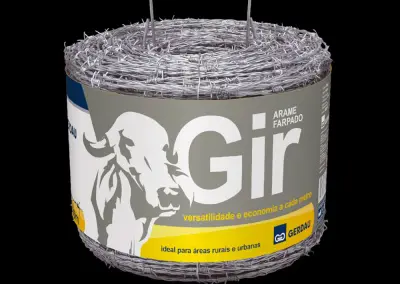Arame Gir