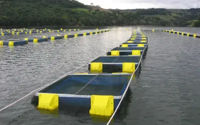 Telas de Alambrado para Piscinão de Irrigação em Vespasiano – MG