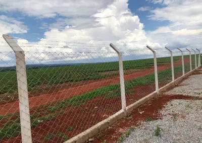 Telas Alambrados